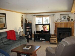 TV connectée, cheminée, lecteur de DVD, livres