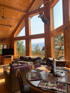 Smart TV, fireplace, video games, DVD player