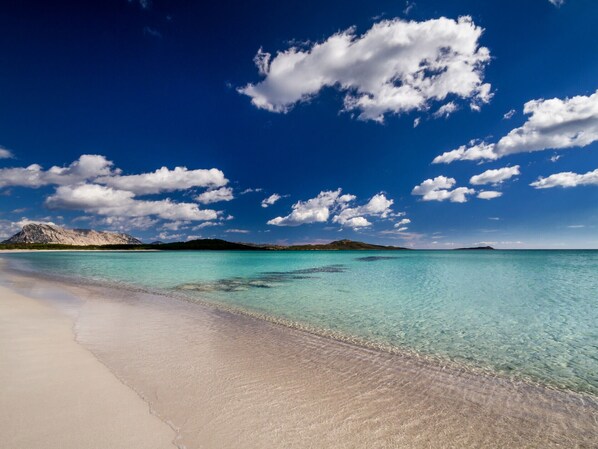 Nær stranden