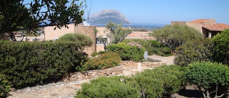 Un jardin avec des allées pavées, différents arbustes et des fleurs.