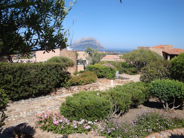 A garden with stone pathways, various shrubs, and flowers.