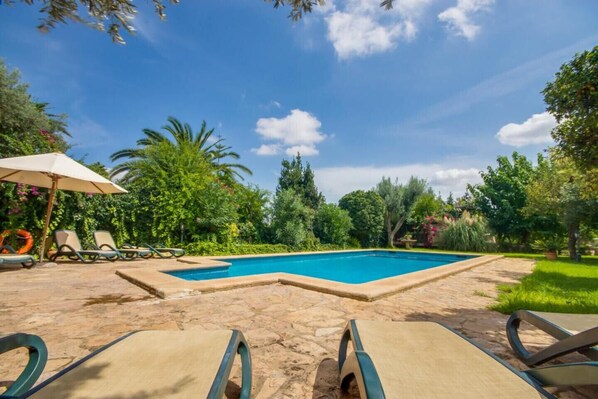 A swimming pool with lounge chairs and an umbrella, surrounded by lush greenery.