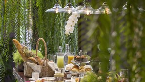 A breakfast buffet with a variety of foods and drinks, set against a backdrop of hanging greenery. - Chandra Residence (Hang Dong)