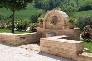 Property grounds - House / Villa - Sant''Angelo in Pontano (Sant'Angelo in Pontano)