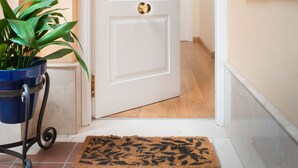 Un pasillo con una puerta blanca, una planta en maceta y un felpudo.