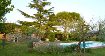 Happy holidays in Chianti, among olives and vineyards, From Florence