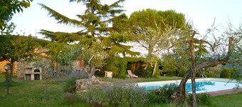 Happy holidays in Chianti, among olives and vineyards, From Florence