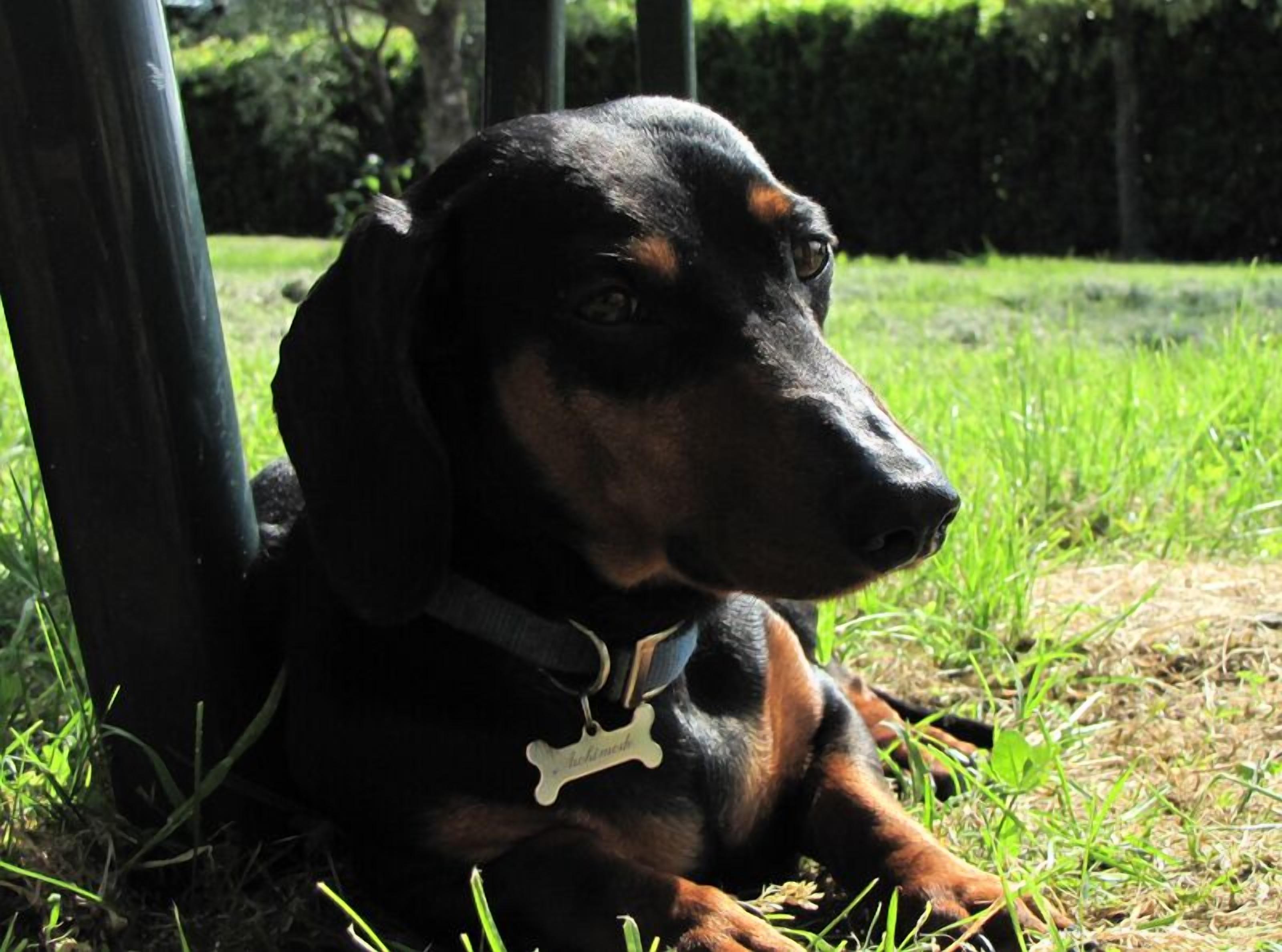 ARCHIMEDE