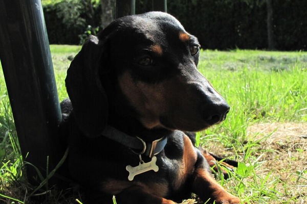 ARCHIMEDE