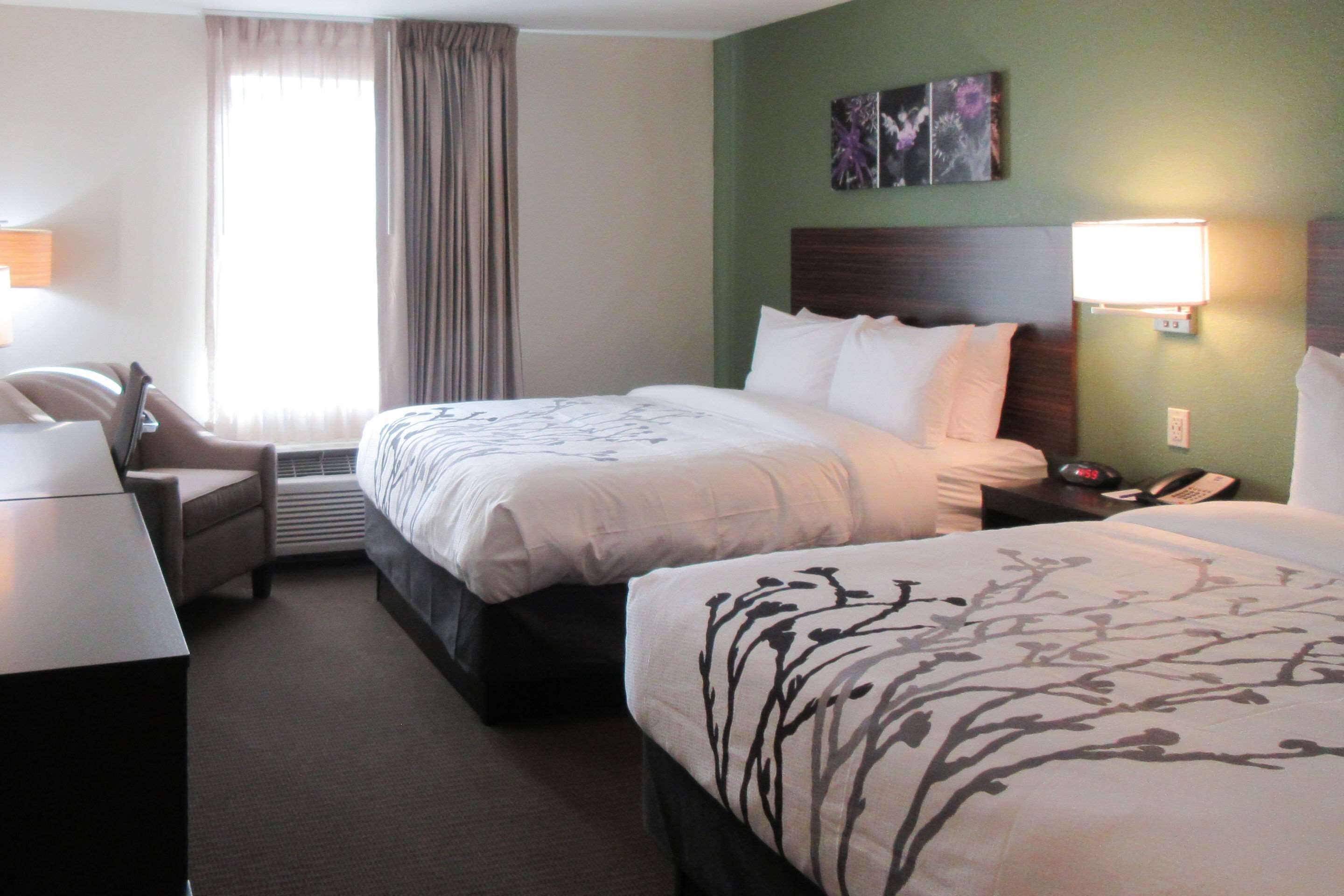 standard room, 2 queen beds, non smoking | desk, free wifi, bed sheets