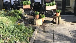 A bicycle parked outside a building with a sign that reads "OPEN". - Faythe Guesthouse (Wexford)