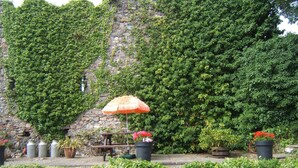 A stone wall covered with ivy, a wooden bench with a straw umbrella, and potted plants with red flowers. - Faythe Guesthouse (Wexford)