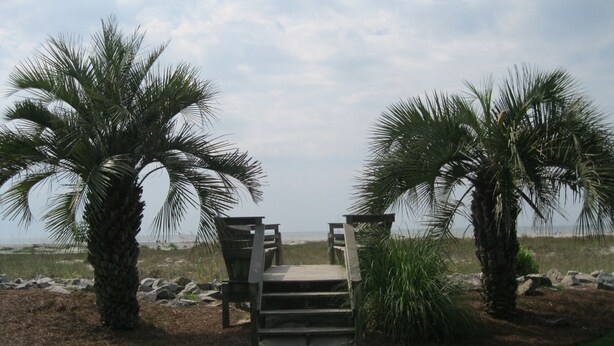 A pathway leading to a wooden bench area with palm trees on either side, overlooking a beach. - OCEANFRONT Midisle Prvt Pool 3New Baths,Kitchen,Floors, AC,Total Renovation!     (Fripp Island)