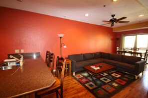 TV, fireplace, DVD player, ping pong