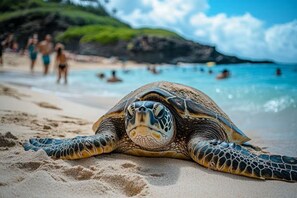 Una tortuga marina en una playa arenosa, con gente al fondo.