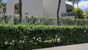 A modern building with a flat roof and white exterior walls, surrounded by a well-maintained hedge and palm trees.