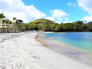 A beach with clear water, a sandy shore, and a hill with trees in the background.