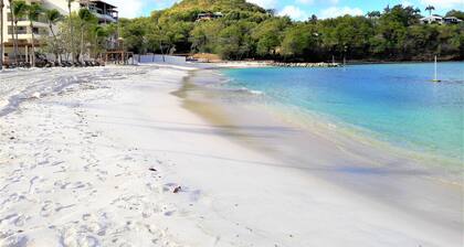 Annmarie Beachfront Retreat Villa