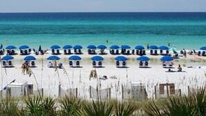 Une plage bordée de rangées de parasols bleus et de chaises longues, un rivage sablonneux et l’océan en toile de fond.