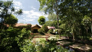 A house surrounded by lush greenery and a garden with a variety of plants and flowers. - Hotel La Quinta (Paraguari)