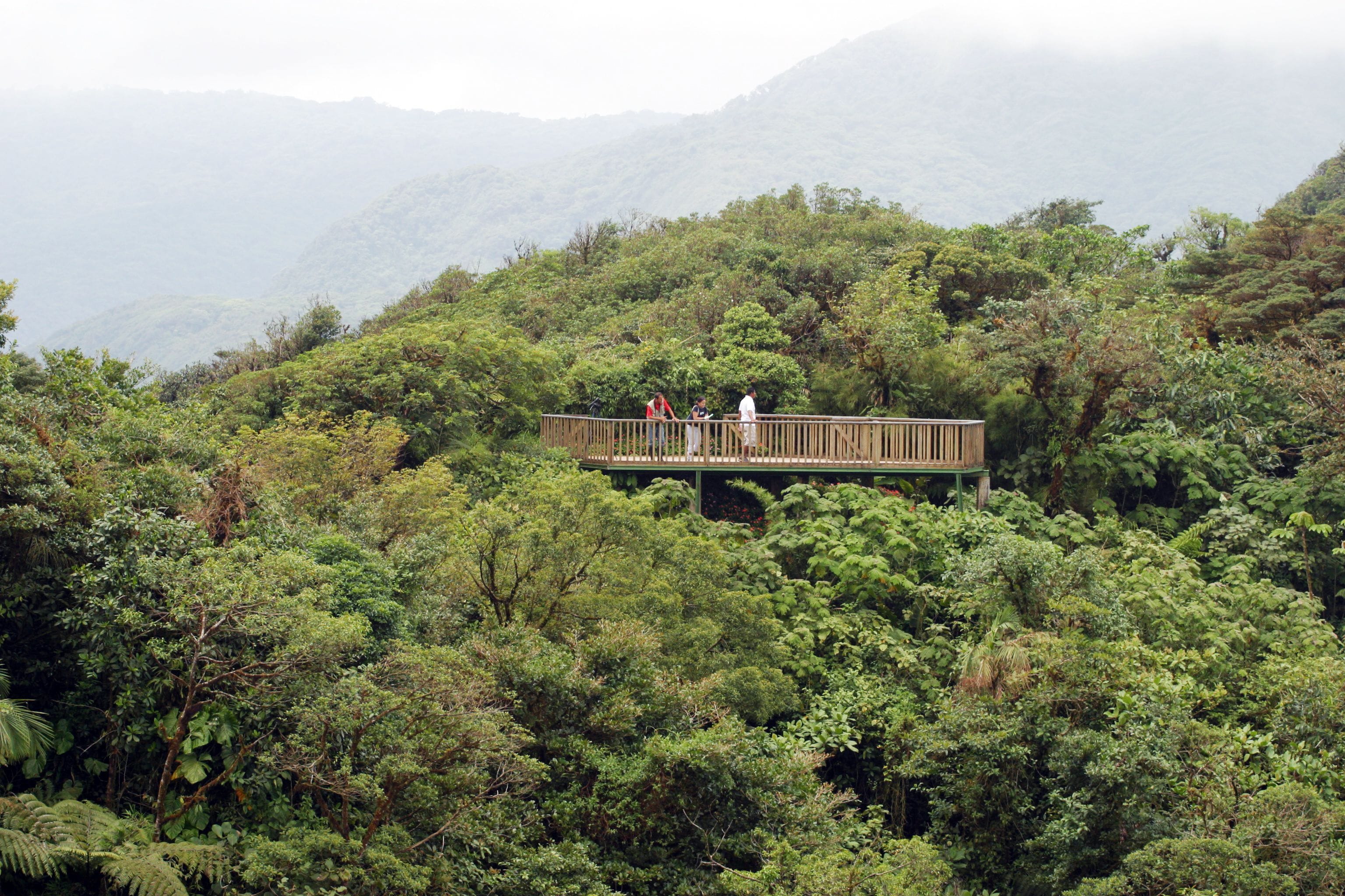 children’s activities