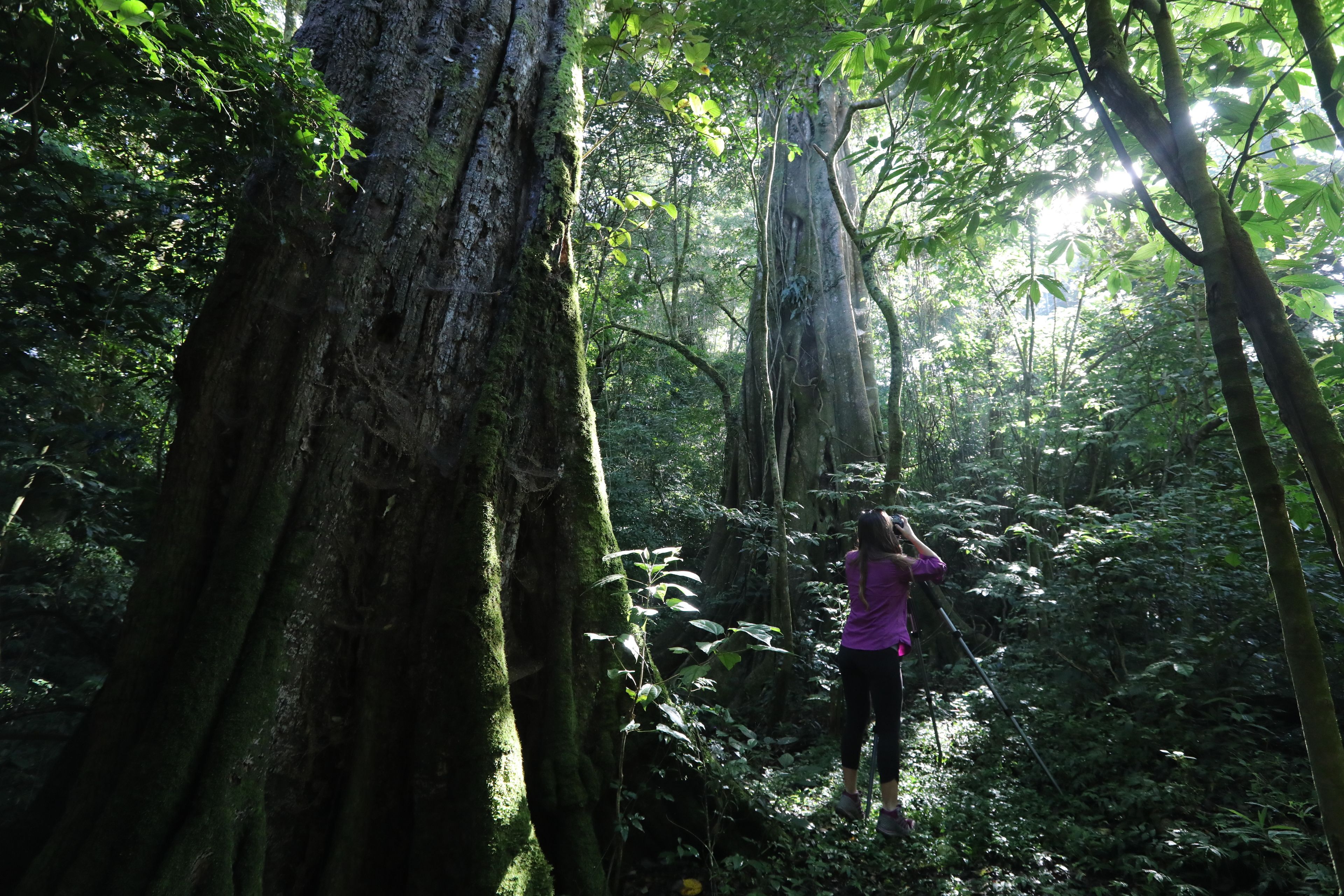 children’s activities