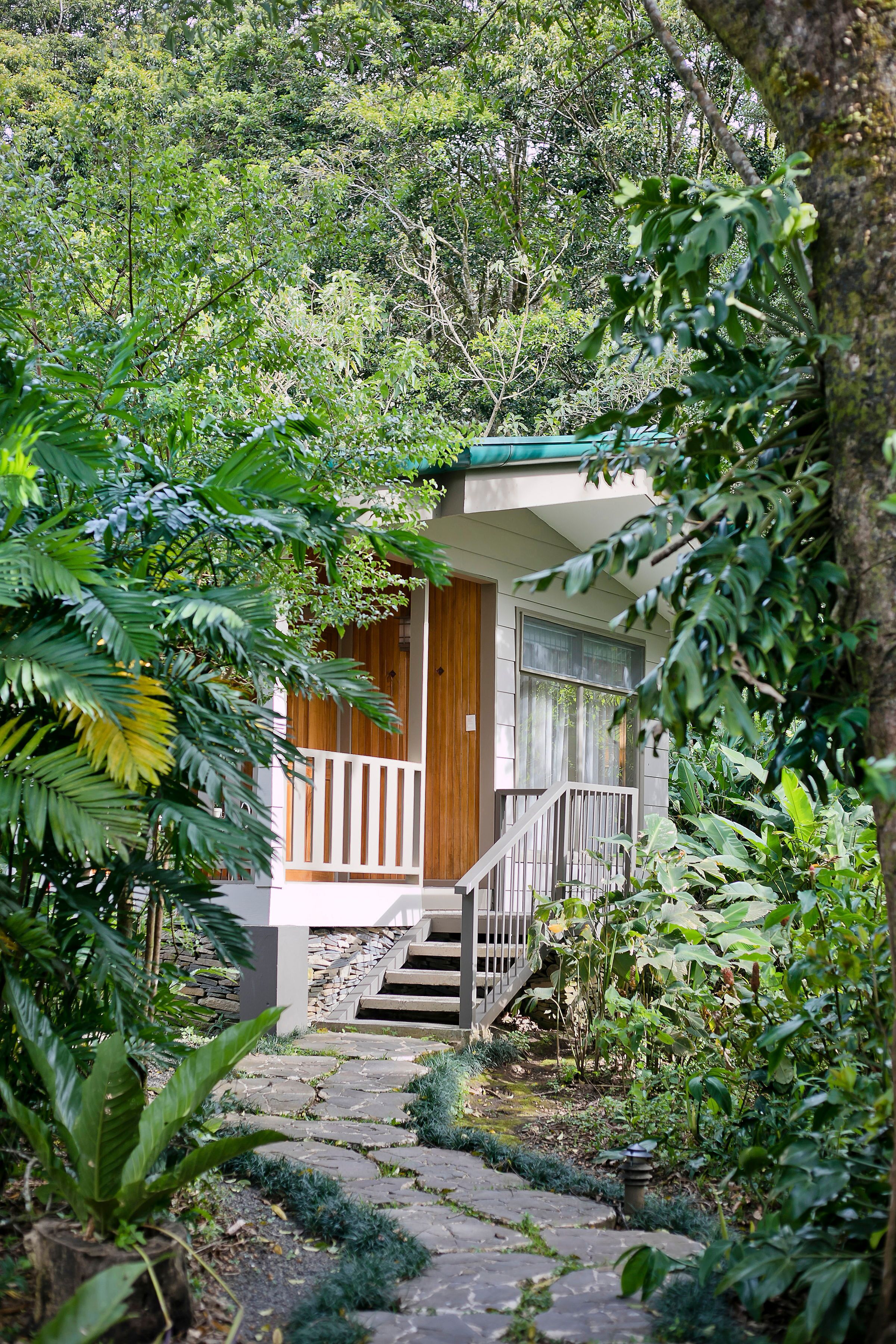 A small, single-story building with a wooden door and a balcony, surrounded by dense greenery.