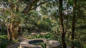 Un jardin avec un bain à remous circulaire en pierre, entouré d’une végétation luxuriante et d’arbres.