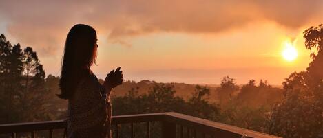 Senda Suite | Property grounds