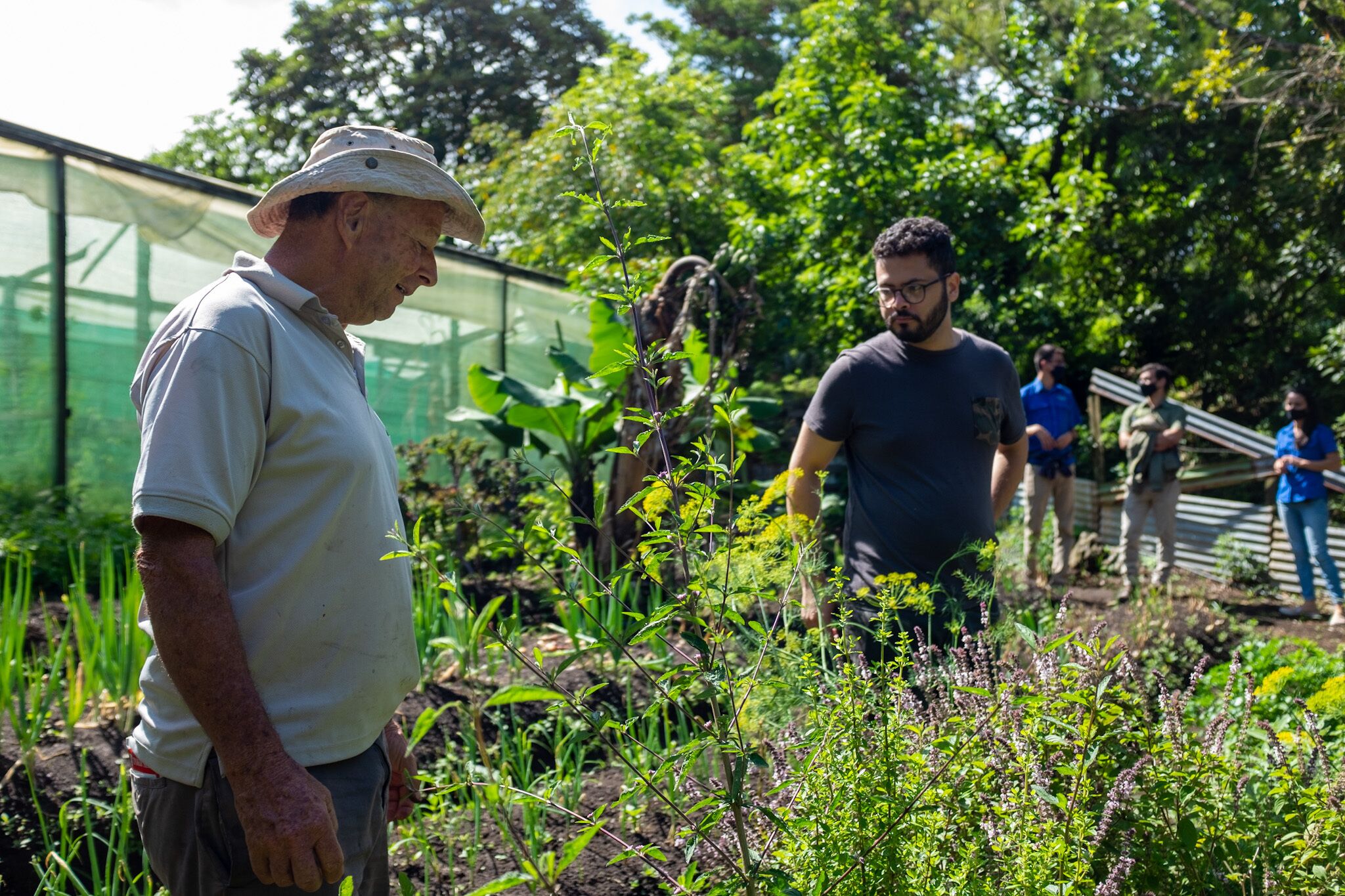 Un invernadero con diversas plantas y personas observándolas.