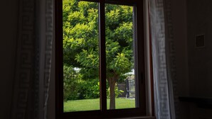 Una ventana con vista a un árbol y un muro de piedra.