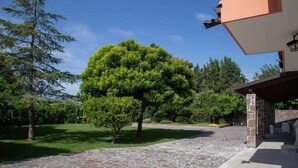 Un camino empedrado que lleva a un edificio con fachada de piedra y un gran árbol en el centro.