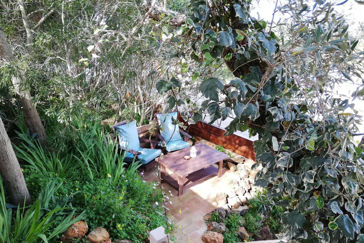 Um pátio de jardim com mesa de madeira e duas cadeiras azuis, rodeado por vegetação e pedras.