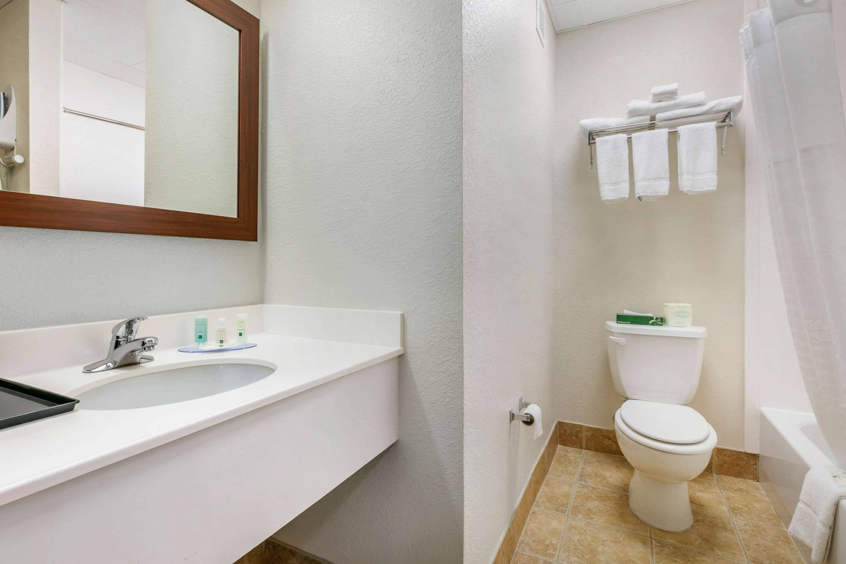 standard room, 1 king bed, non smoking | bathroom | combined shower/bathtub, free toiletries, hair dryer, towels
