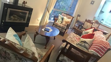 Flat-screen TV, fireplace, DVD player
