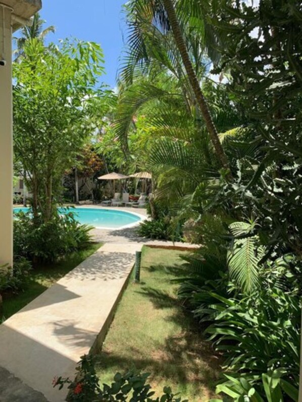 Garden - Hotel Casa Nina (Las Terrenas)