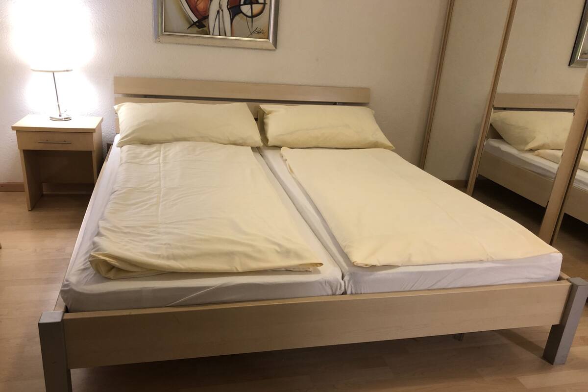 Business Double Room, 1 Double Bed, Non Smoking, City View | Down comforters, desk, WiFi (free), bed sheets