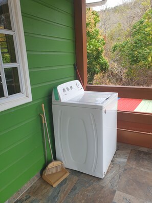 A front-loading washing machine in a room with green walls, a window, and a view of trees and shrubs.