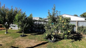 Ulkoalueet