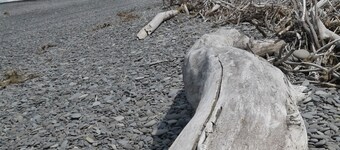 Rakaia Huts village with Rakaia River nearby. Great family getaway spot. Pets OK