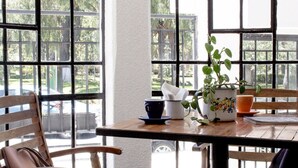 A table with chairs, a potted plant, a cup, and a bowl.