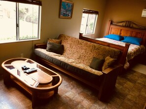 TV, fireplace, video games, DVD player