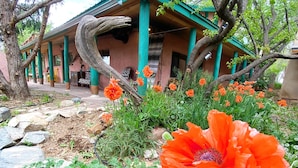 A building with a curved roof and green pillars, surrounded by a garden with orange flowers and rocks. - Peaceful Adobe w Jacuzzi, Walk To Arroyo Seco, Pets Welcome (Arroyo Seco)
