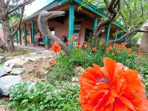 Overnattingsstedets uteområder