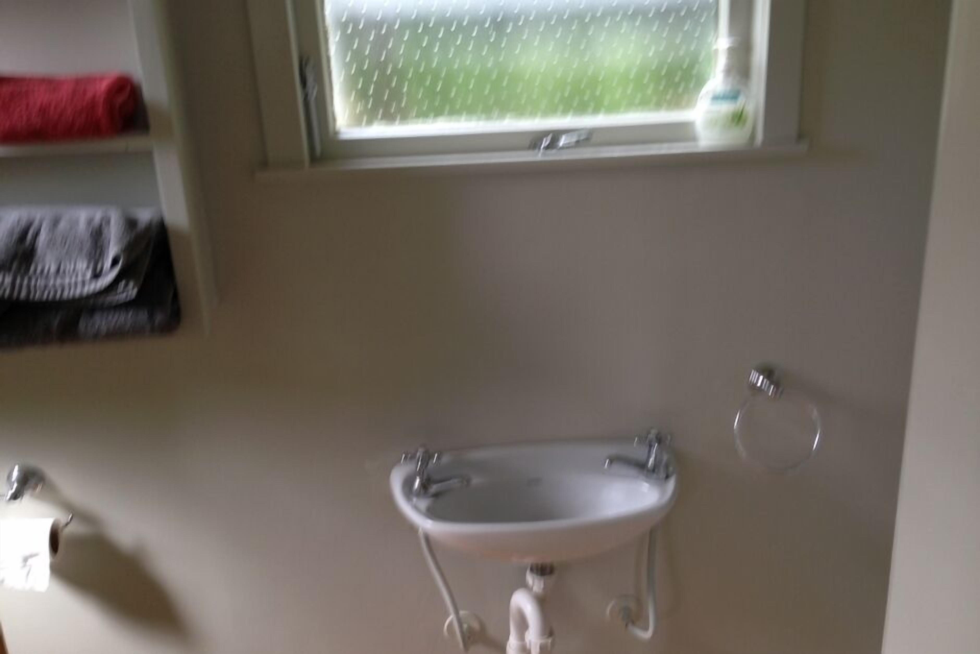 Un baño con un lavabo blanco, un perchero para toallas y una ventana con vistas a zonas verdes.