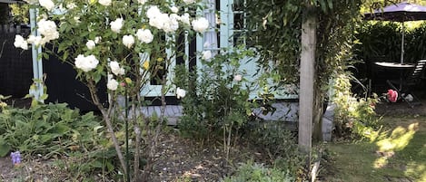 Àrea exterior de l'allotjament