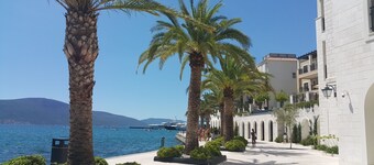 Little Nautilus: The best positioned apartment in Boka Bay