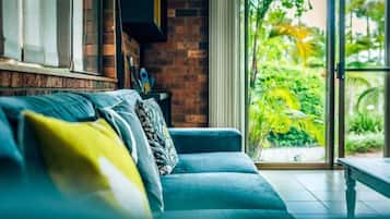 TV, fireplace, DVD player, books