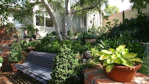 Relax in a serene garden setting with a bench and lush greenery.