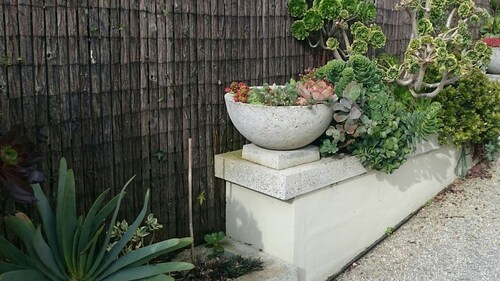 Beautiful Private Retreat Near Gorge/CBD, Free Breakie Hamper, Wifi & More